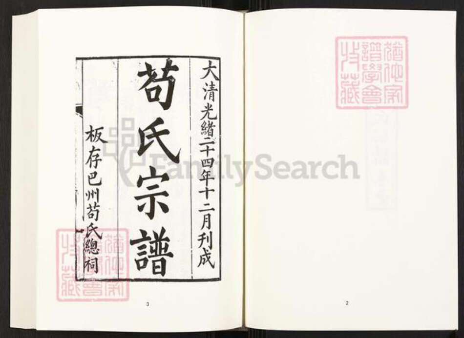 四川省巴中市巴州区四川省苟氏族谱-中国珍稀家谱丛刊.四川家谱.第33~34册.苟氏宗谱.pdf电子版预览图4