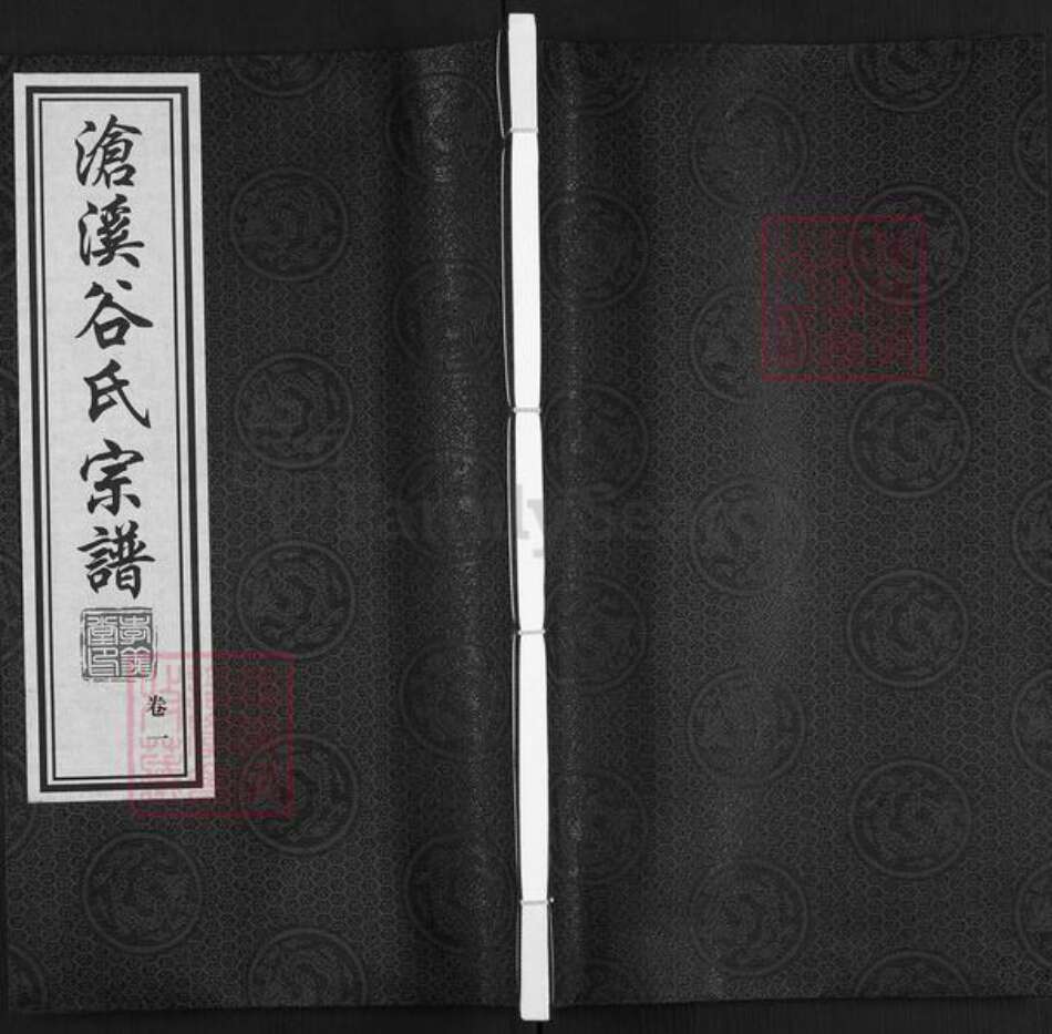 江苏省南京市高淳区阳江镇谷氏孝义堂族谱-沧溪谷氏宗谱.pdf电子版缩略图