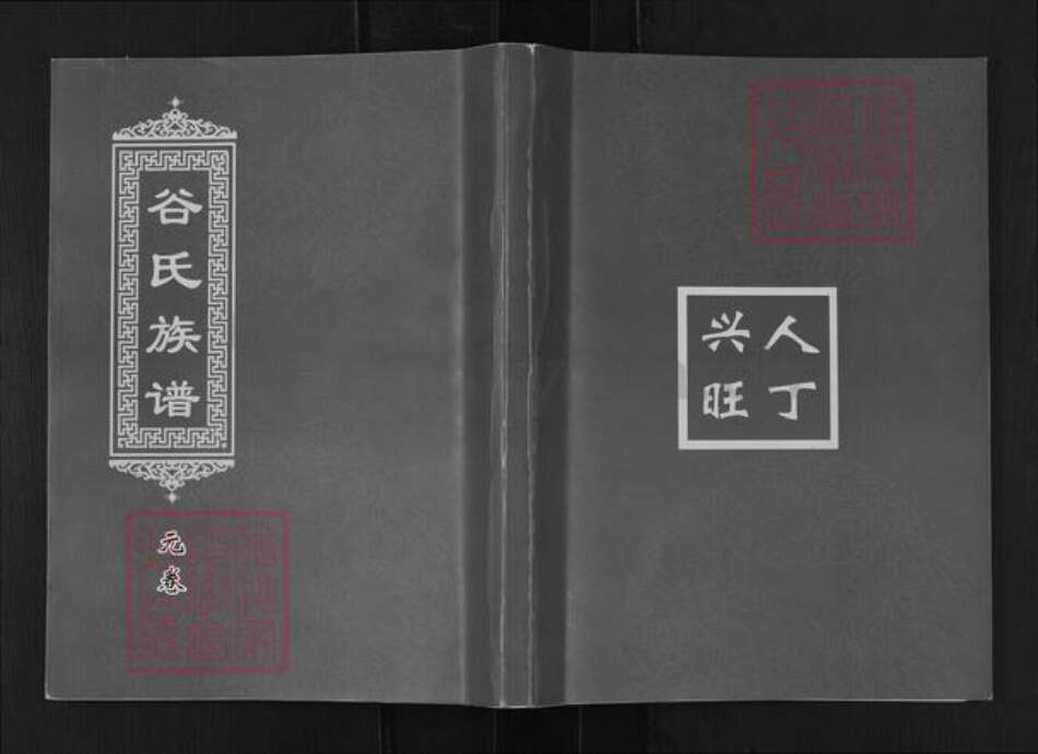 山东省济南市莱芜区谷氏族谱-谷氏族谱.pdf电子版缩略图
