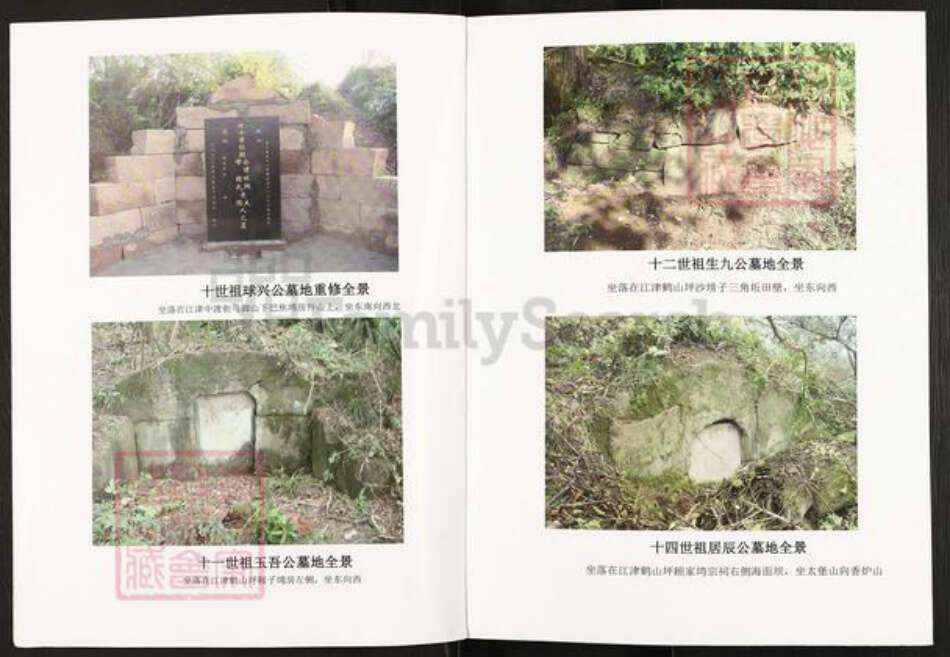 重庆市江津区先锋镇顾氏武陵堂族谱-顾氏族谱.pdf电子版预览图3