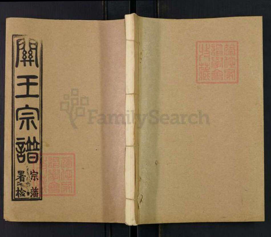 湖北省孝感市汉川市南河乡关王氏寿槐堂族谱-关王宗谱.pdf电子版缩略图