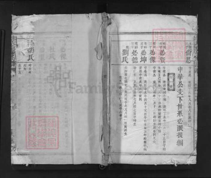 湖南省岳阳市临湘市临湘桂氏天水堂族谱-桂氏重新族谱.pdf电子版缩略图