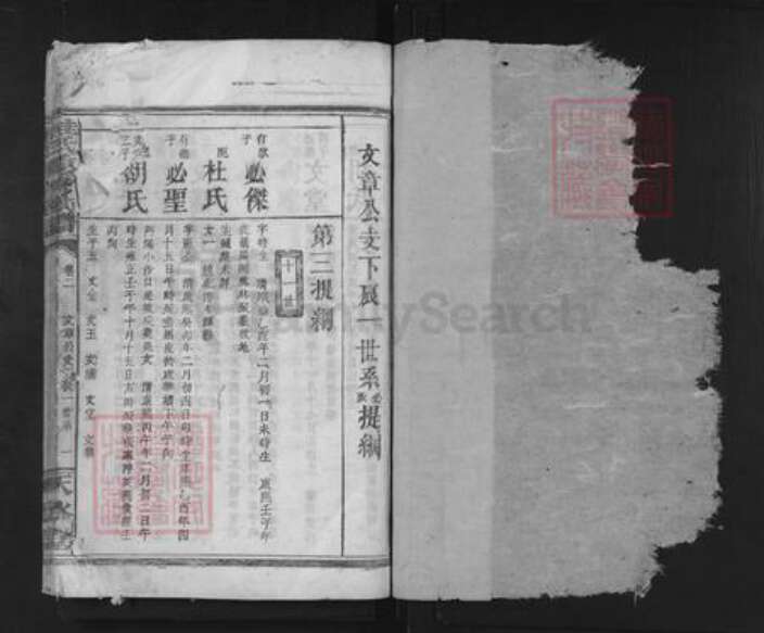 湖南省岳阳市临湘市临湘桂氏天水堂族谱-桂氏重新族谱.pdf电子版预览图1