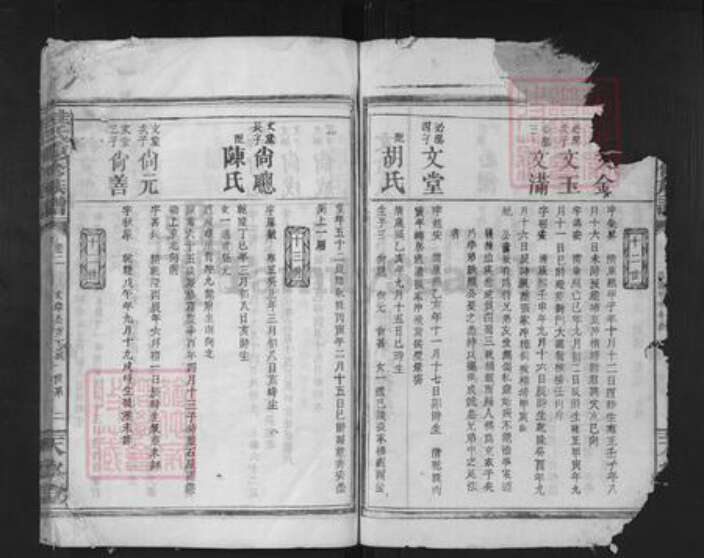 湖南省岳阳市临湘市临湘桂氏天水堂族谱-桂氏重新族谱.pdf电子版预览图2