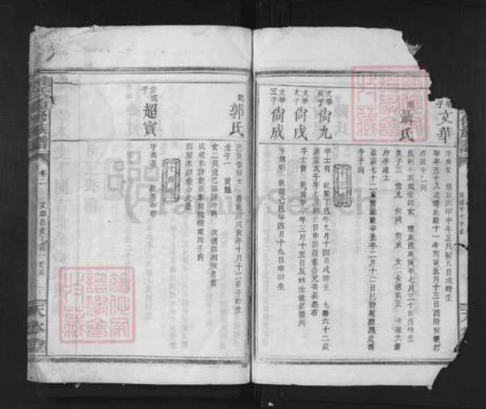 湖南省岳阳市临湘市临湘桂氏天水堂族谱-桂氏重新族谱.pdf电子版预览图3