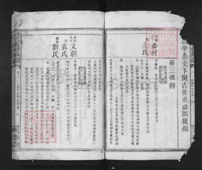 湖南省岳阳市临湘市临湘桂氏天水堂族谱-桂氏重新族谱.pdf电子版预览图4