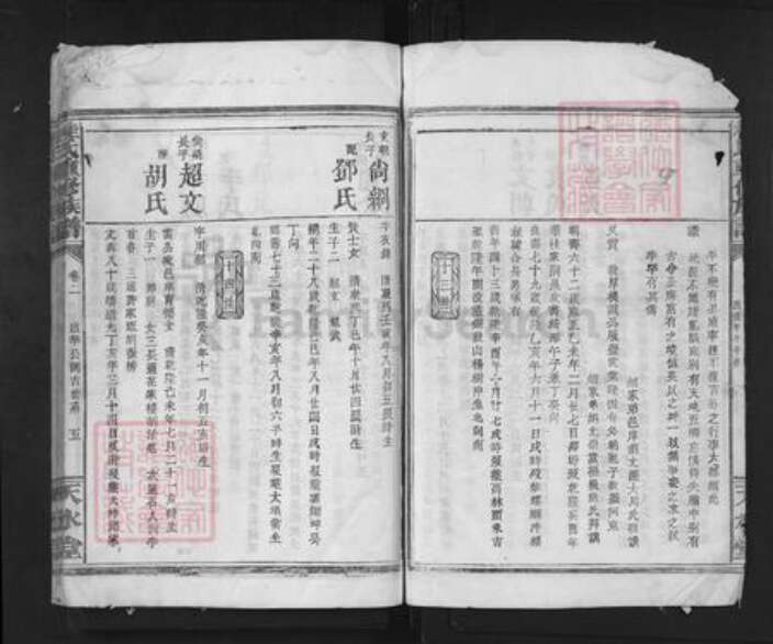 湖南省岳阳市临湘市临湘桂氏天水堂族谱-桂氏重新族谱.pdf电子版预览图5