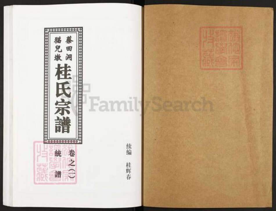 安徽省池州市贵池区乌沙镇桂氏族谱-桂氏宗谱.pdf电子版预览图1