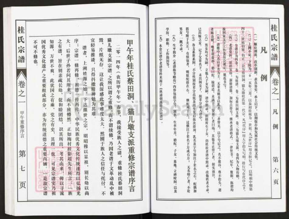 安徽省池州市贵池区乌沙镇桂氏族谱-桂氏宗谱.pdf电子版预览图5