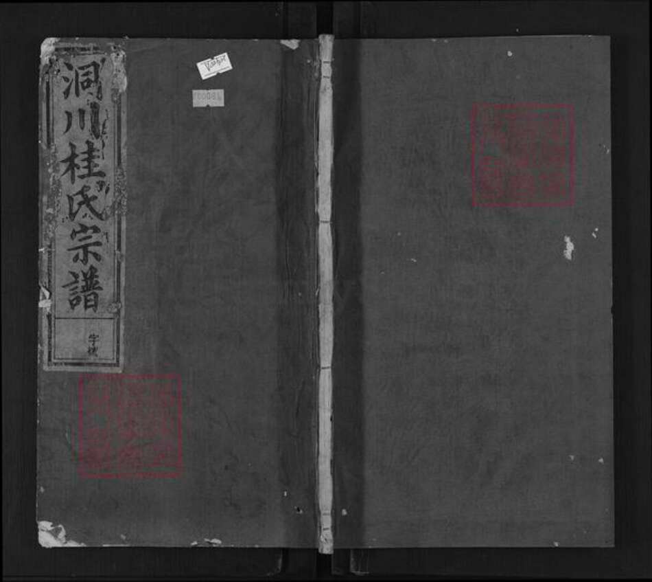 浙江省杭州市淳安县县桂氏燕贻堂族谱-洞川桂氏宗谱.pdf电子版缩略图