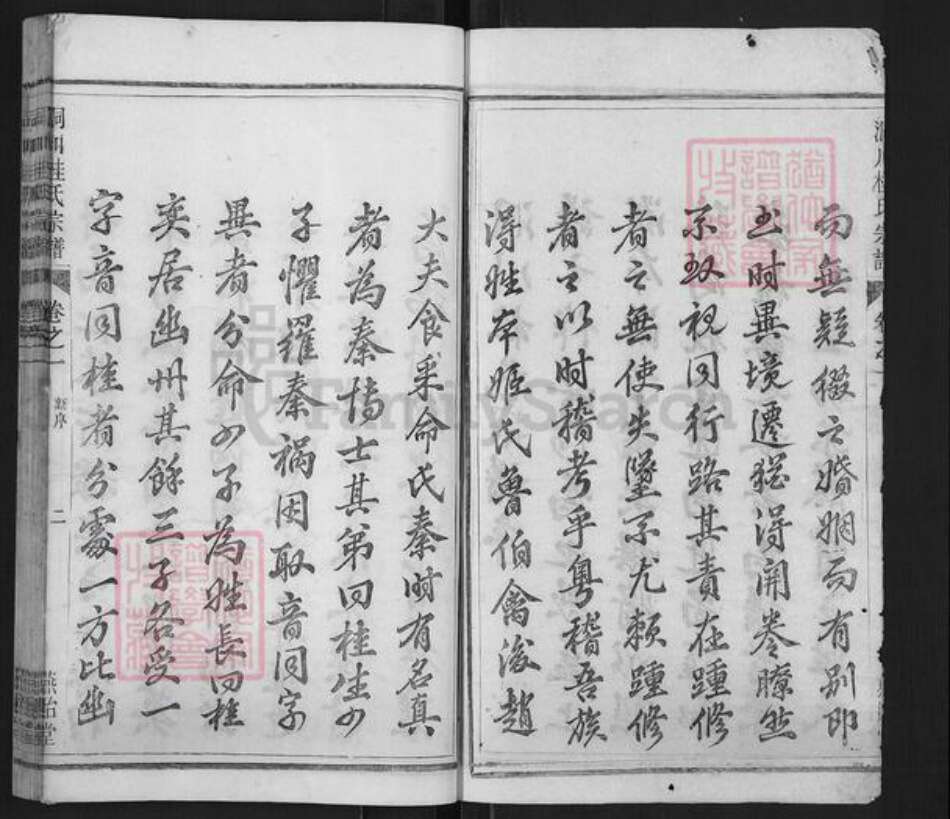 浙江省杭州市淳安县县桂氏燕贻堂族谱-洞川桂氏宗谱.pdf电子版预览图2