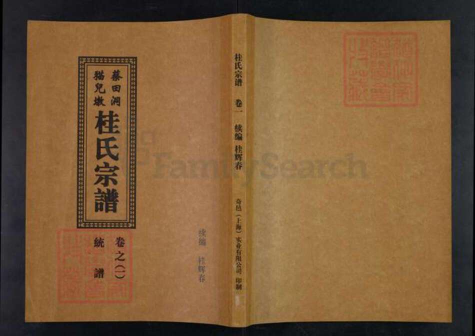 安徽省池州市贵池区乌沙镇桂氏族谱-蔡田洞.猫儿墩.桂氏宗谱.pdf电子版缩略图