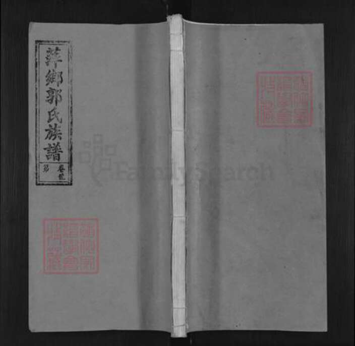 江西省萍乡市郭氏族谱-萍乡郭氏族谱 [11卷].pdf电子版缩略图