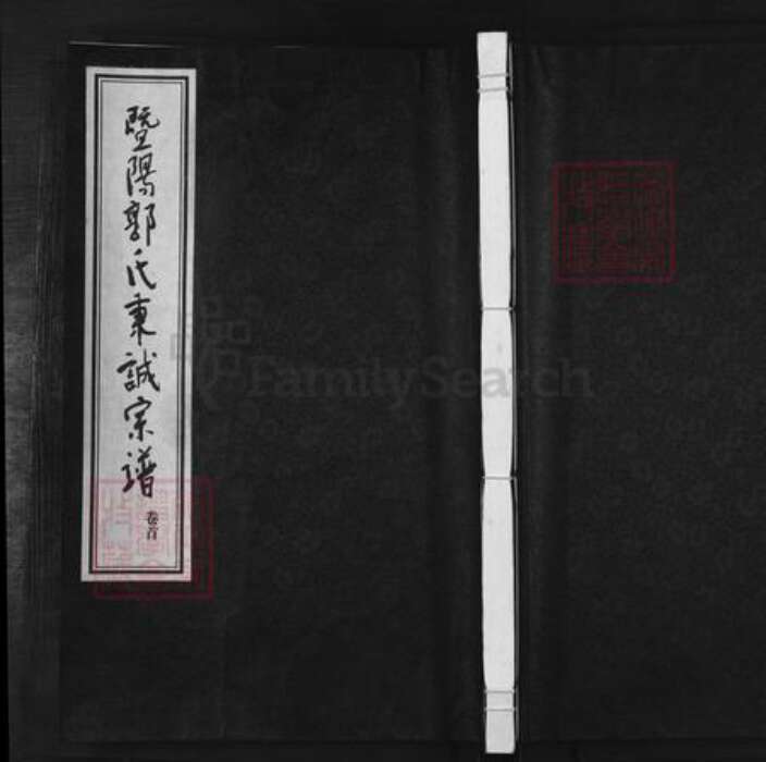 浙江省绍兴诸暨市暨阳街道郭氏忠武堂族谱-暨阳郭氏秉诚宗谱.pdf电子版缩略图