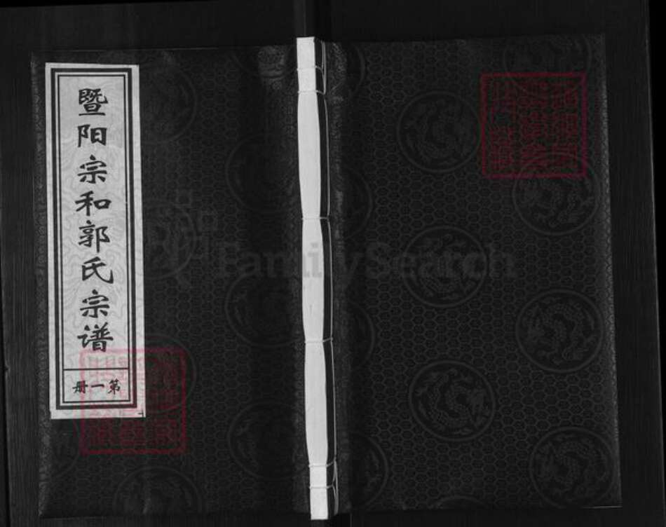 浙江省绍兴诸暨市郭氏宗和堂族谱-暨阳宗和郭氏宗谱.pdf电子版缩略图