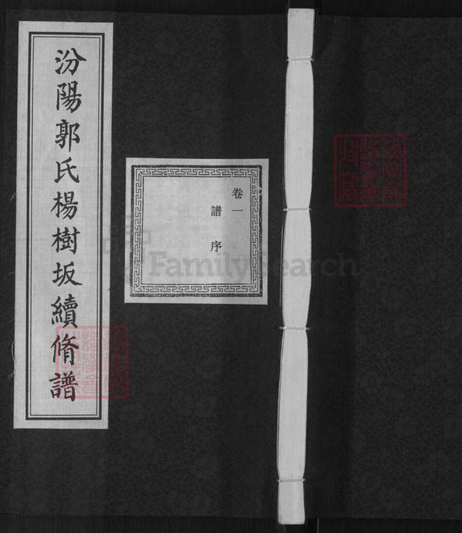 浙江省绍兴诸暨市郭氏忠武堂族谱-汾阳郭氏杨树坂续修谱.pdf电子版缩略图