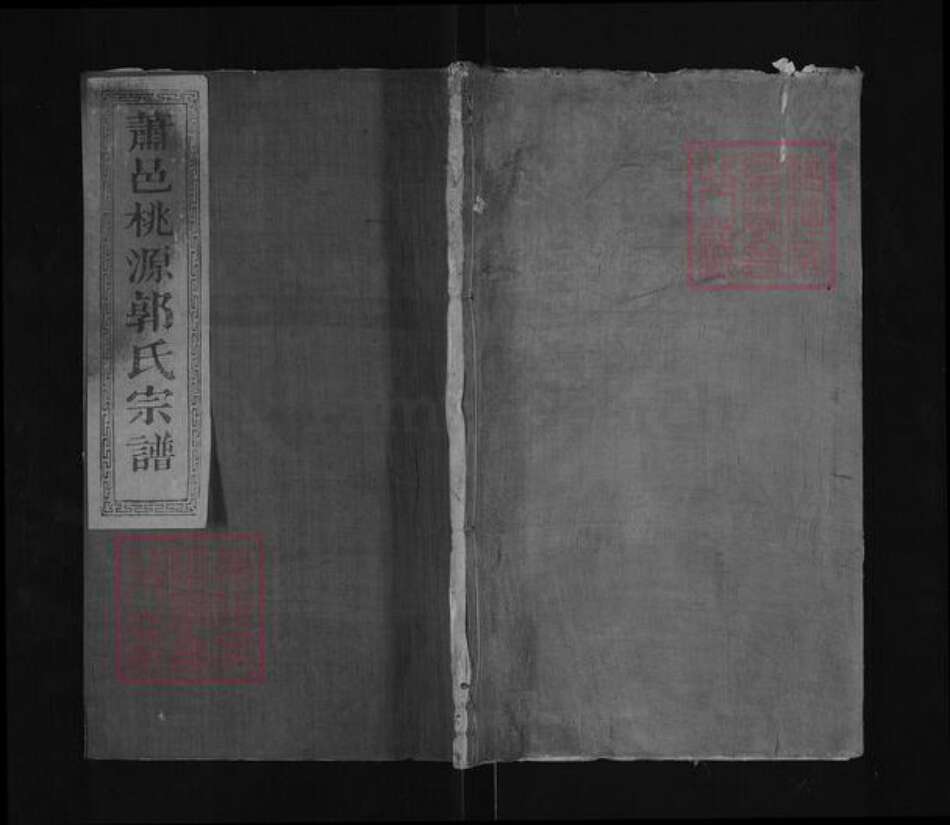 浙江省杭州市萧山区萧山郭氏忠武堂族谱-萧邑桃源郭氏宗谱.pdf电子版缩略图