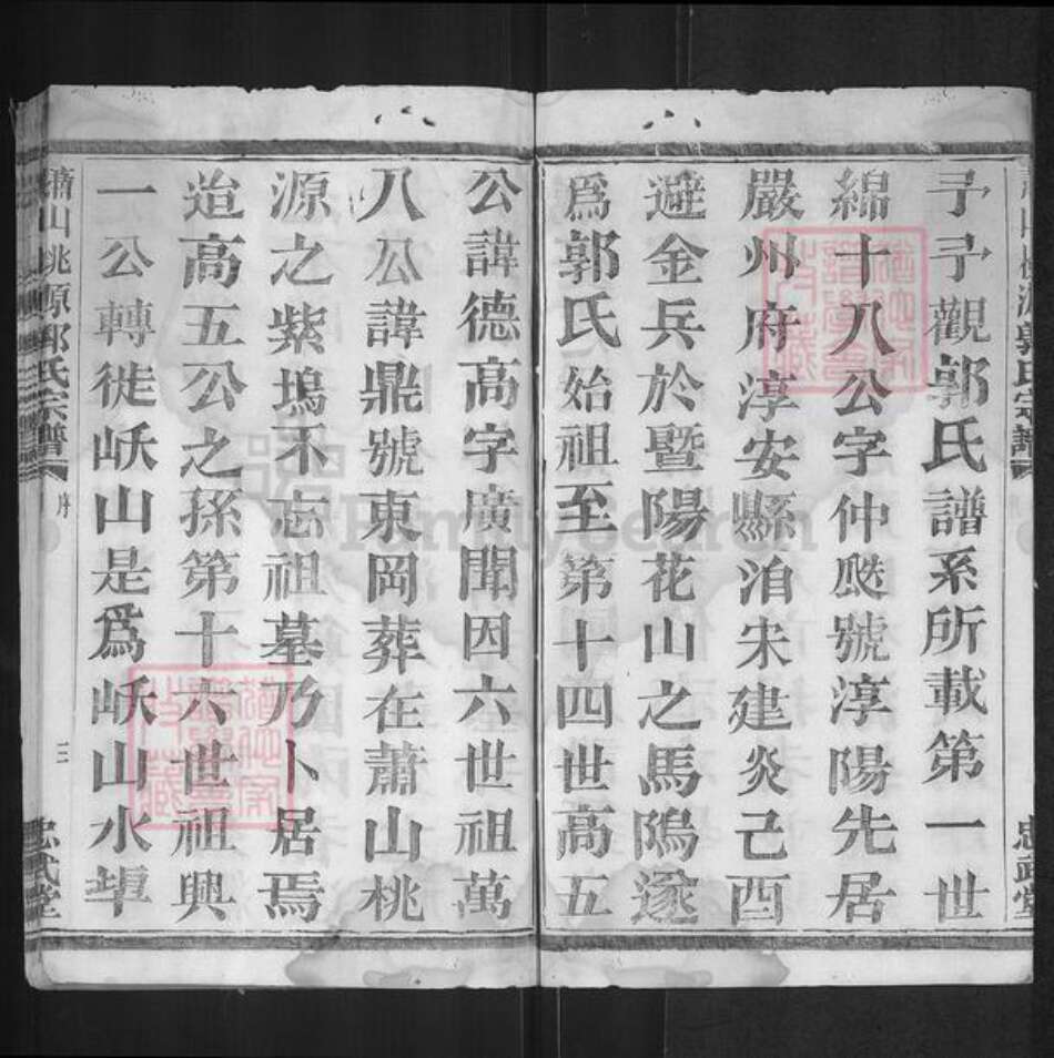 浙江省杭州市萧山区萧山郭氏忠武堂族谱-萧邑桃源郭氏宗谱.pdf电子版预览图3