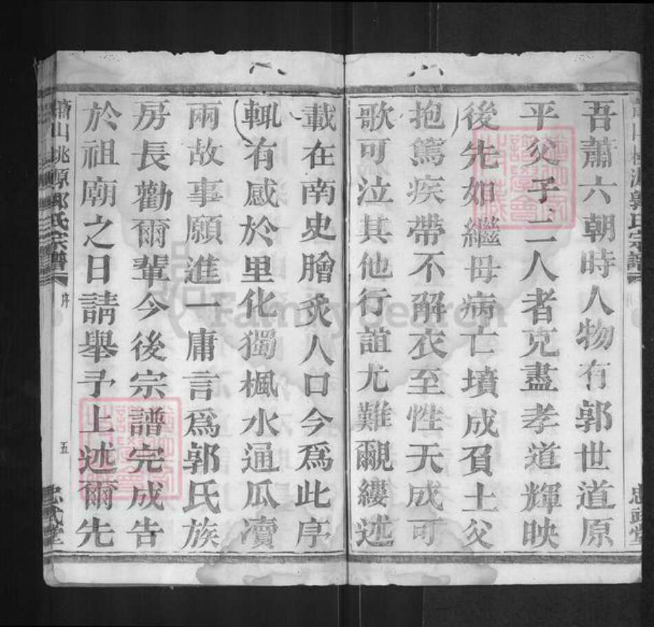 浙江省杭州市萧山区萧山郭氏忠武堂族谱-萧邑桃源郭氏宗谱.pdf电子版预览图5