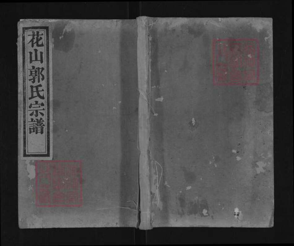 浙江省绍兴诸暨市直端口郭氏忠武堂族谱-暨阳郭氏宗谱.pdf电子版缩略图