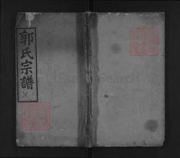 湖北省武汉市黄陂区郭氏汾阳堂族谱-郭氏宗谱.pdf电子版缩略图