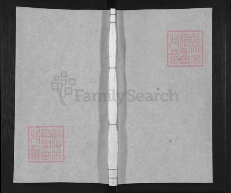 浙江省绍兴诸暨市诸暨郭氏忠武堂族谱-暨阳宜仁郭氏宗谱.pdf电子版缩略图