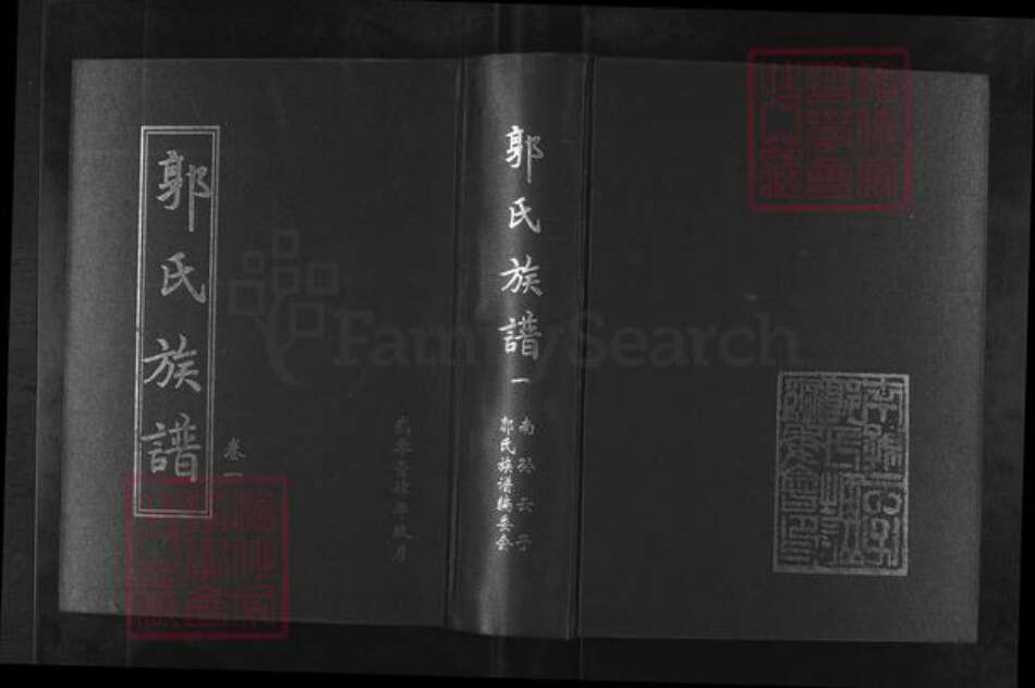 山东省潍坊市寿光市古城街道郭氏族谱-郭氏族谱.pdf电子版缩略图