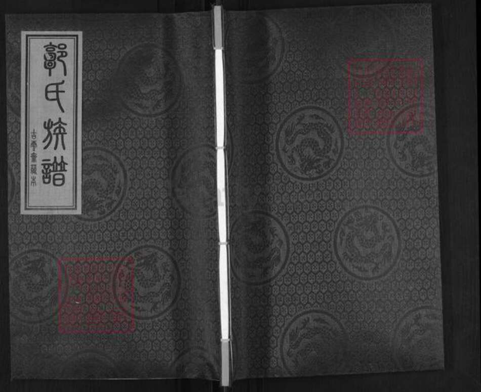 河北省沧州盐山县郭氏万春堂族谱-郭氏家谱.pdf电子版缩略图