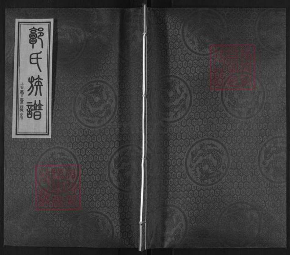 河北省沧州盐山县望树镇郭氏族谱-郭氏家谱.pdf电子版缩略图