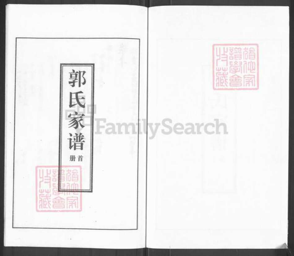 河北省沧州盐山县望树镇郭氏族谱-郭氏家谱.pdf电子版预览图1