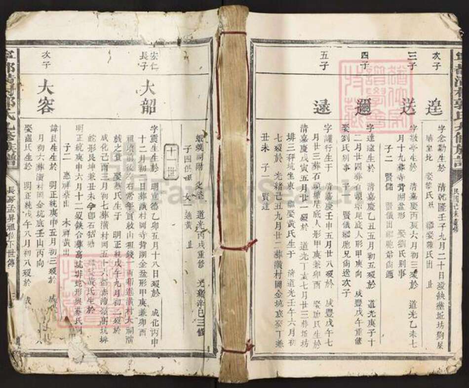 江西省赣州市宁都县郭氏族谱-宁都潢村郭氏九修族谱.pdf电子版缩略图