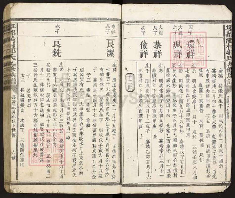 江西省赣州市宁都县郭氏族谱-宁都潢村郭氏九修族谱.pdf电子版预览图4