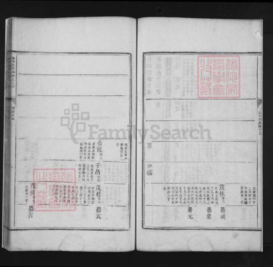 江西省吉安市吉安县万福镇郭氏族谱-麻冈派桂林郭氏支谱.pdf电子版预览图3