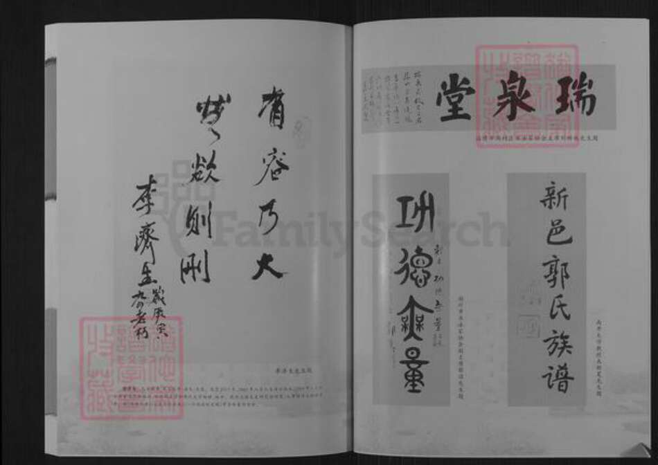 山东省泰安市新泰市羊流镇郭氏瑞泉堂族谱-新邑郭氏族谱.pdf电子版预览图5