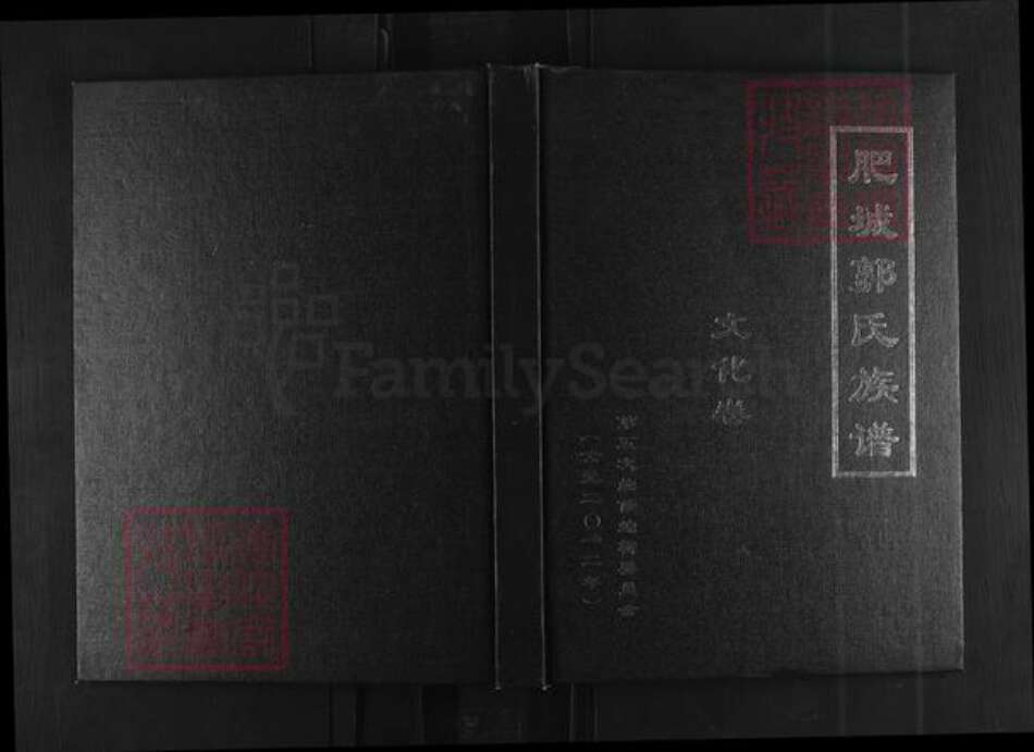 山东省泰安市肥城市郭氏族谱-肥城郭氏族谱 [八卷文化卷一卷].pdf电子版缩略图