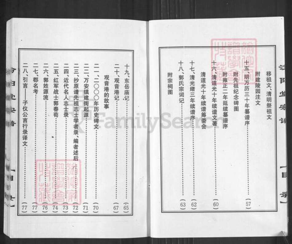 湖北省孝感市孝南区陡岗镇郭氏汾阳堂族谱-澴川郭氏宗谱.pdf电子版预览图4