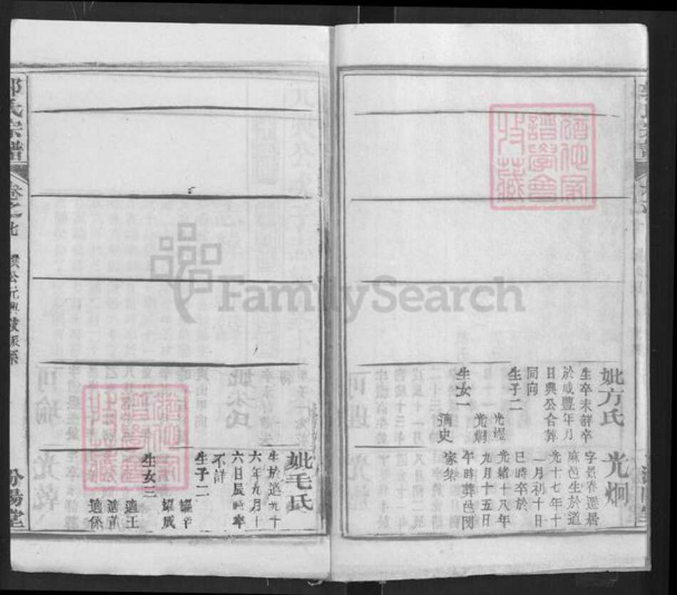 湖北省武汉市新洲区郭氏汾阳堂族谱-郭氏宗谱.pdf电子版预览图3