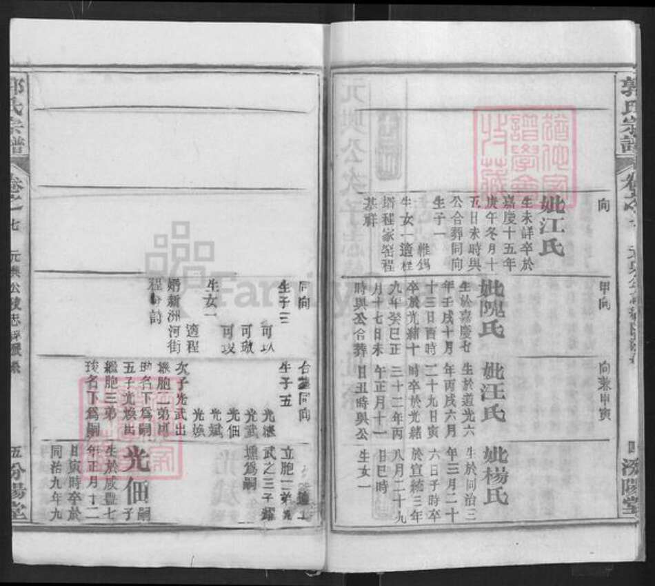 湖北省武汉市新洲区郭氏汾阳堂族谱-郭氏宗谱.pdf电子版预览图5