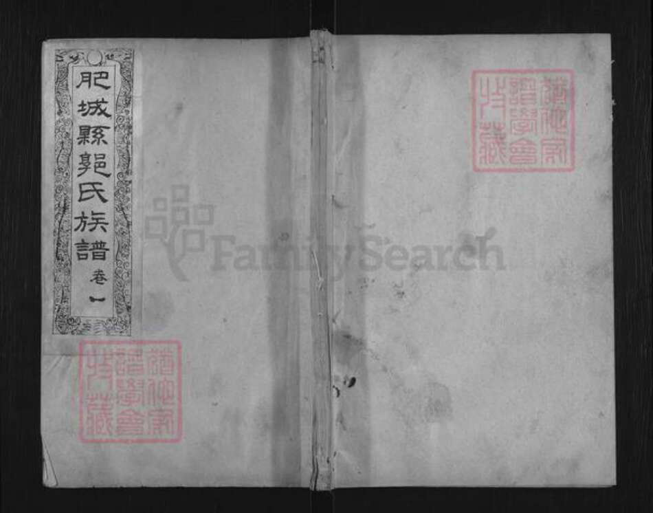 山东省泰安市肥城市桃园镇郭氏族谱-肥城县郭氏族谱.pdf电子版缩略图