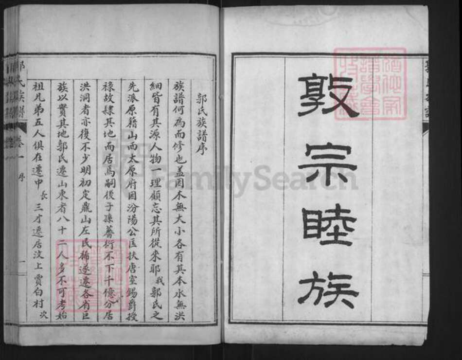 山东省泰安市肥城市桃园镇郭氏族谱-肥城县郭氏族谱.pdf电子版预览图2