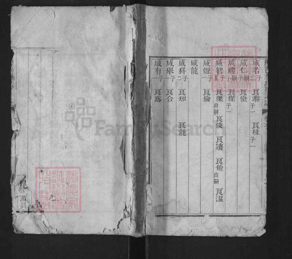 山东省济宁市汶上县郭氏族谱-汶邑郭氏族谱志.pdf电子版缩略图