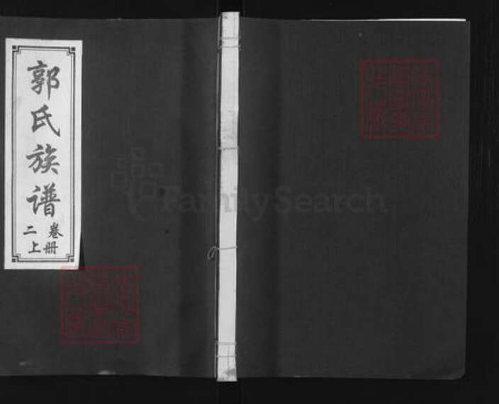 山东省济宁市汶上县苑庄镇郭氏宗礼堂族谱-郭氏族谱.pdf电子版缩略图