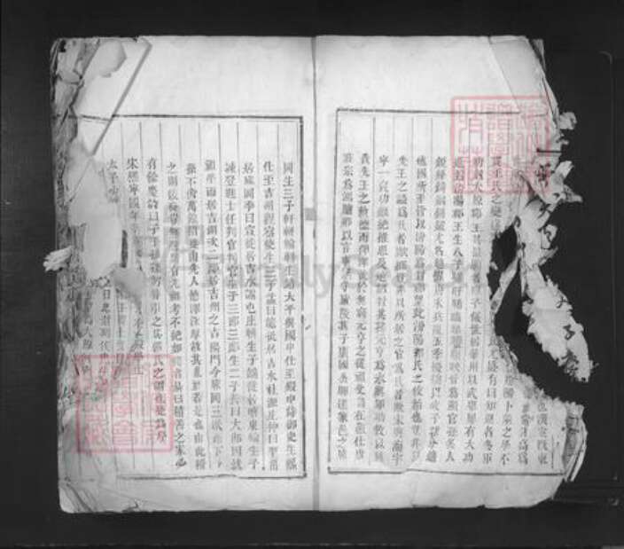 江西省吉安市吉水县阜田镇郭氏族谱-麻冈派社源郭氏族谱.pdf电子版预览图4