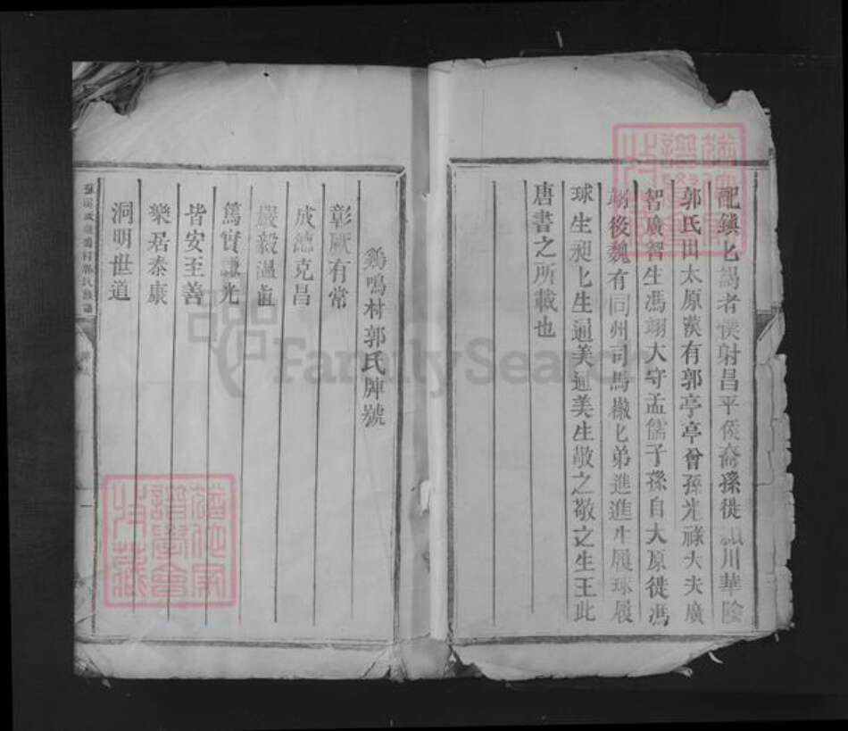 江西省吉安市青原区富田镇郭氏族谱-苏溪派鸡鸣村郭氏族谱.pdf电子版预览图5