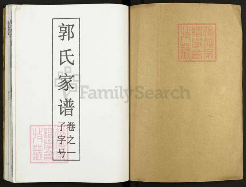 江苏省泰州市泰兴市郭氏七凤堂族谱-郭氏家谱.pdf电子版预览图1