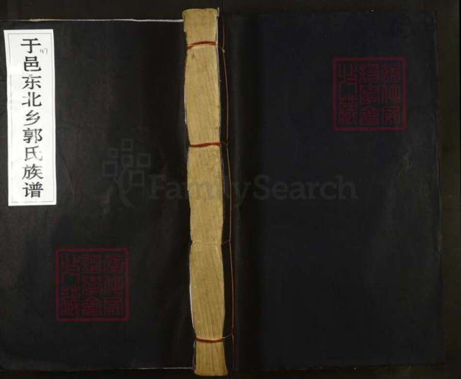 江西省赣州市于都县郭氏汾阳堂族谱-雩邑东北乡郭氏族谱.pdf电子版缩略图