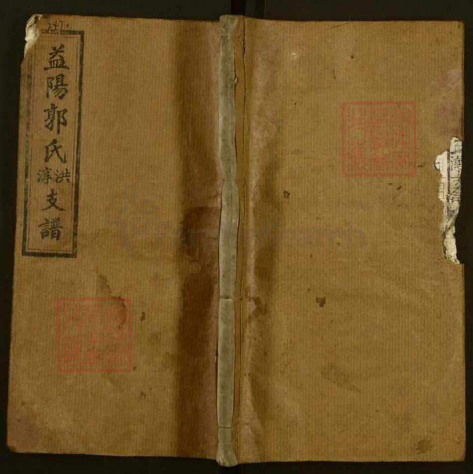 湖南省益阳市资阳区郭氏族谱-益阳郭氏淳洪支谱.pdf电子版缩略图