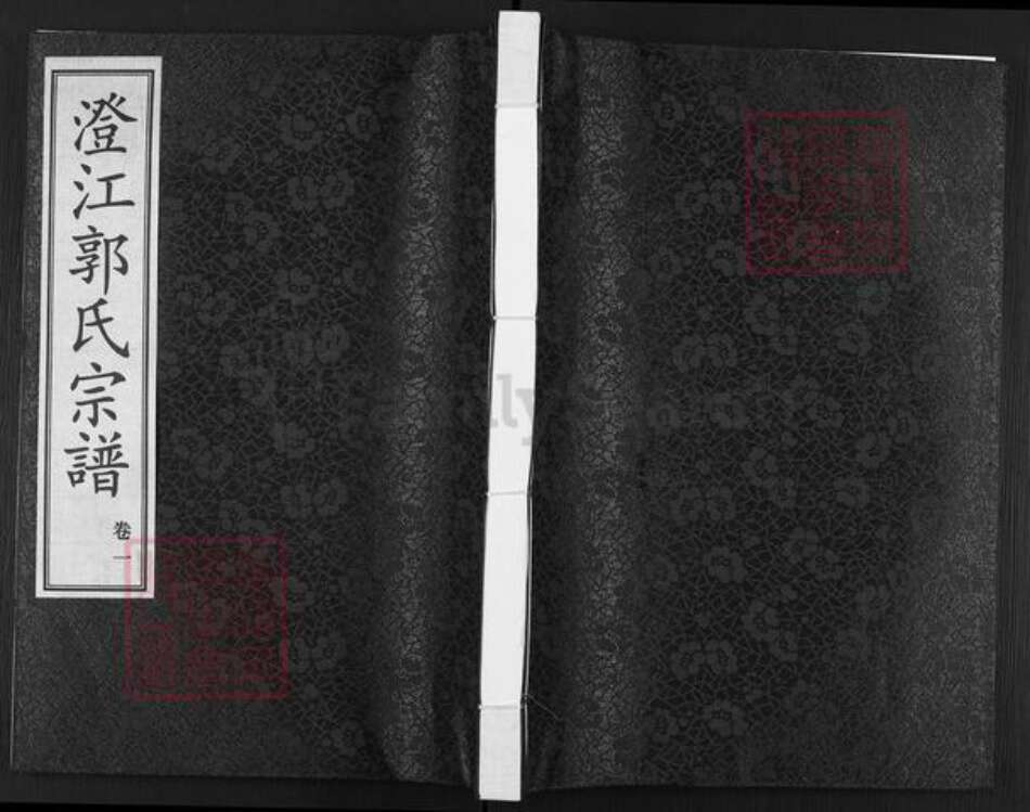 江苏省无锡市江阴市郭氏诚信堂族谱-澄江郭氏宗谱.pdf电子版缩略图