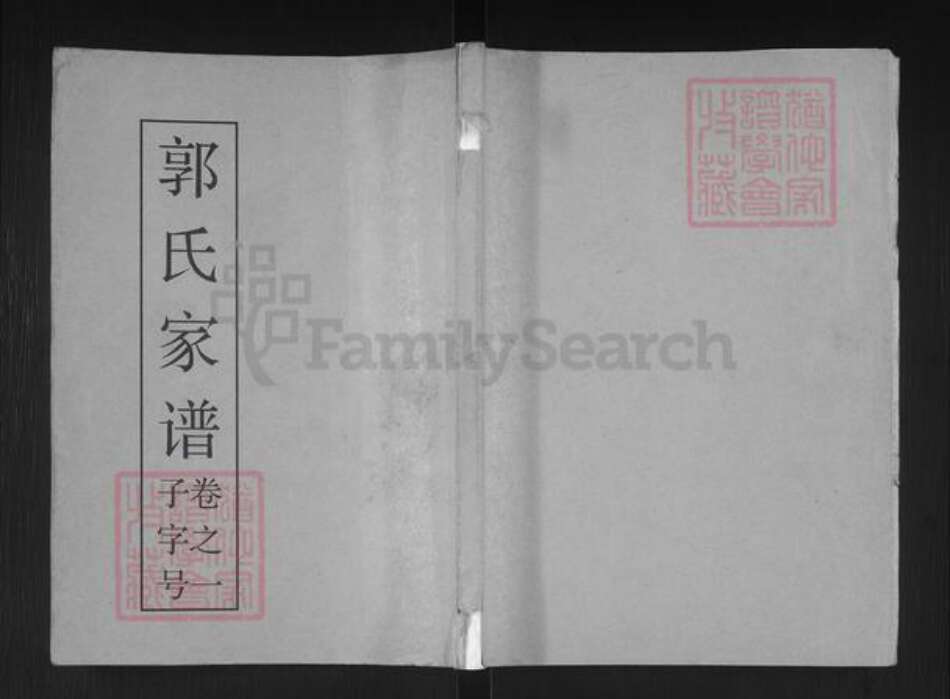 江苏省泰州市泰兴市济川街道郭氏七凤堂族谱-郭氏家谱.pdf电子版缩略图