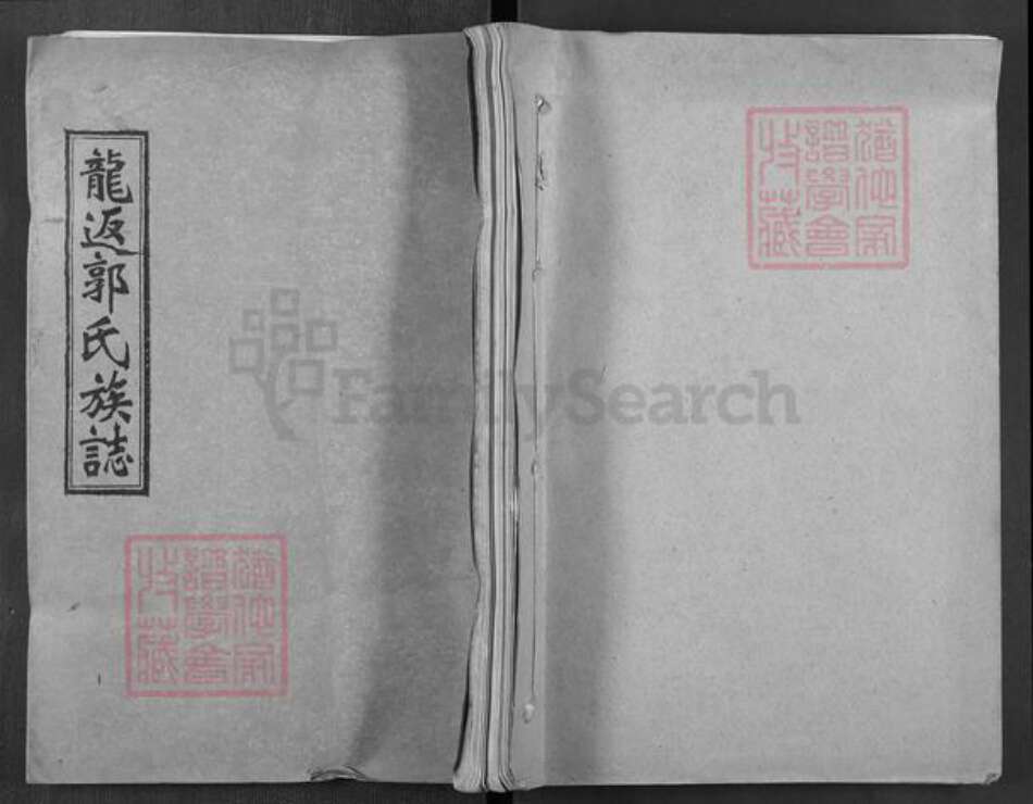 湖南省娄底市双峰县郭氏汾阳堂族谱-双峰龙返郭氏四修族志.pdf电子版缩略图